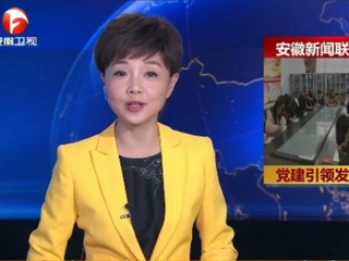 【安徽新闻联播】报道beat365计算机科学与技术学院党委党建工作