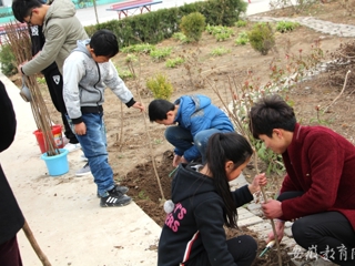 安徽教育网报道beat365的“雷锋月