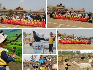 beat365幼儿园赴徐州九顶山野生动物园开展亲子研学活动