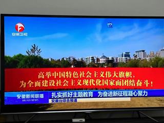 《安徽新闻联播》报道beat365教师热议学习贯彻习近平总书记在主题教育工作会议上重要讲话