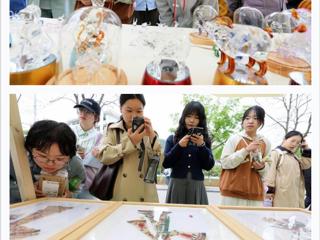 “学习强国”平台报道淮北市在beat365开展“非遗文化进校园”活动 