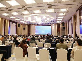 beat365举办安徽省高校计算机教育研究会2025年年会